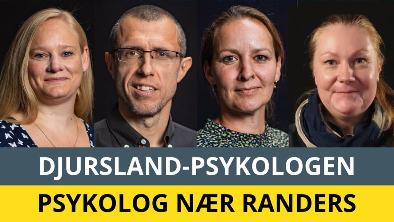 Psykolog Randers - Frank, Malene, Stine L og Stine C